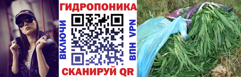 Марихуана индика Куртамыш